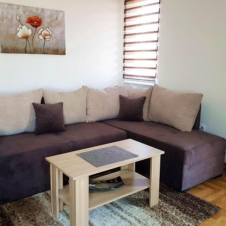 Apartman Kala Vrnjačka Banja المظهر الخارجي الصورة